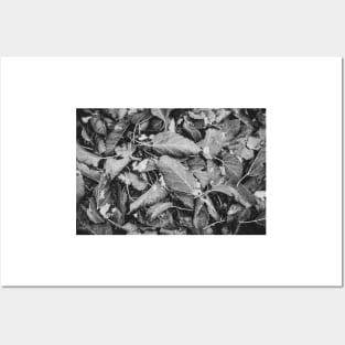 Snowflakes and Autumn Leaves Black and White Posters and Art